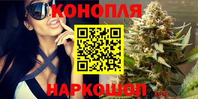 ALPHA PVP Новодвинск