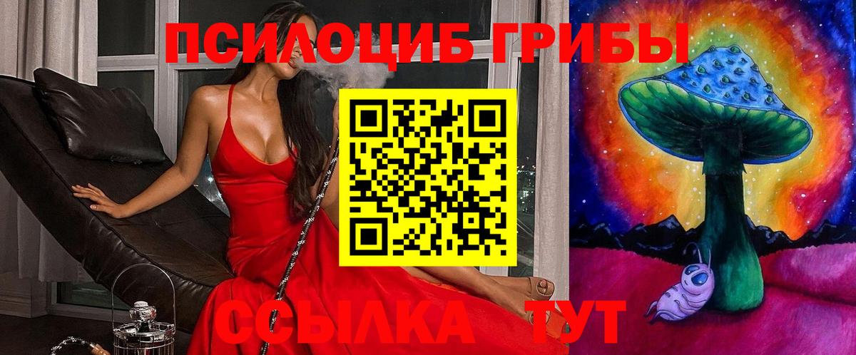 Галлюциногенные грибы прущие грибы Сосновый Бор