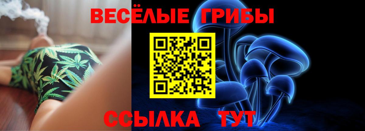 Галлюциногенные грибы Psilocybine cubensis  Галлюциногенные грибы Cubensis  Вход с VPN  Сосновый Бор 